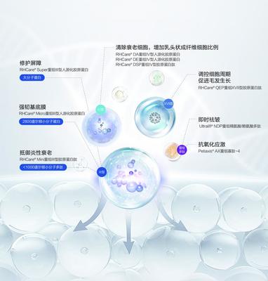 重組膠原蛋白賽道的創(chuàng)新解題思路 對話迪諾薇華孫璞談細胞技術(shù)研發(fā)與應(yīng)用